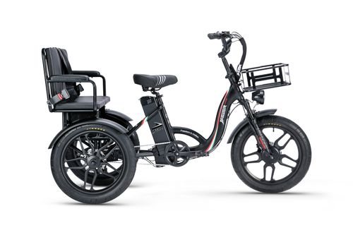 Burner Cargo Tricycle Electric Bike