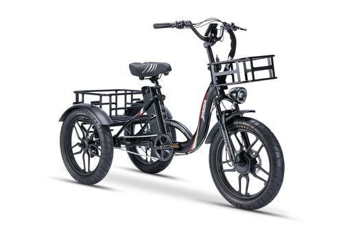 Burner Cargo Tricycle Electric Bike