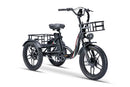 Burner Cargo Tricycle  Electric Bike