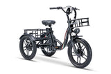 Burner Cargo Tricycle  Electric Bike