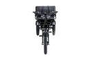 Burner Cargo Tricycle  Electric Bike