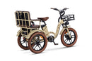 Jager Alma Tricycle