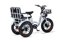 Jager Alma Tricycle