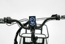 Jager Alma Tricycle